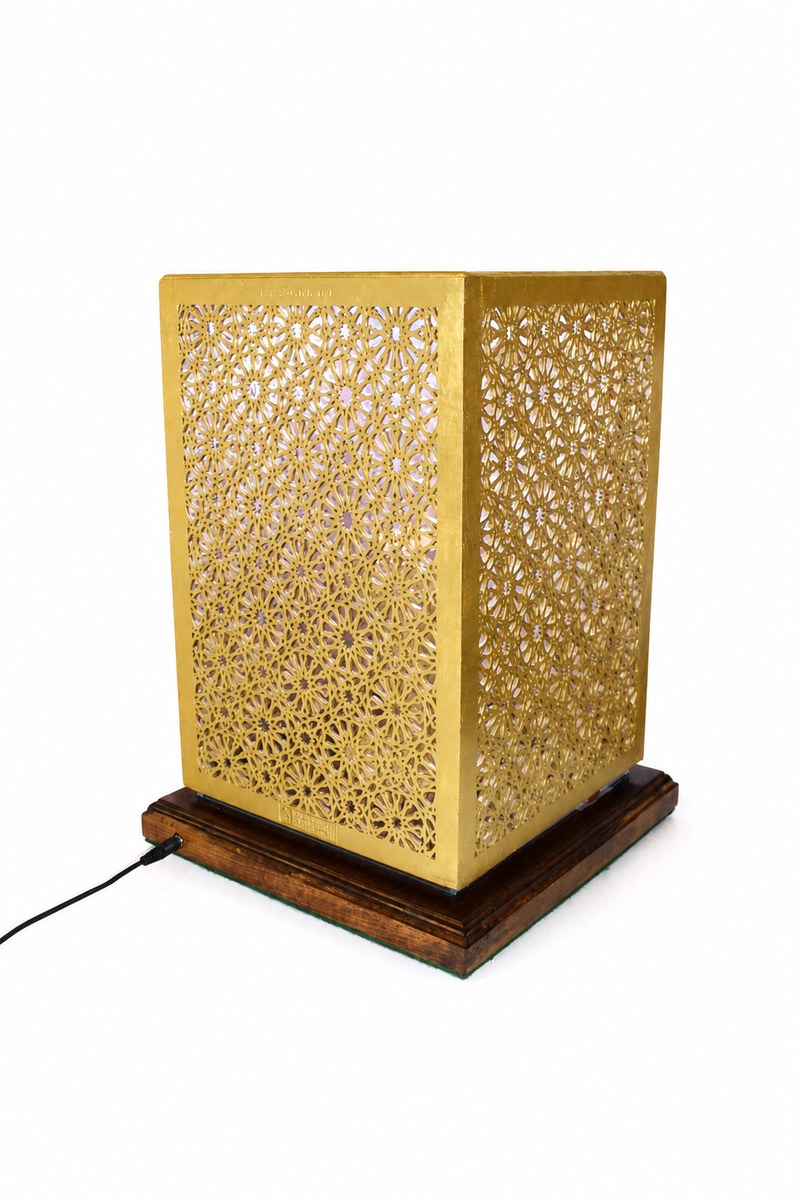 Moo-e-Mubarak case from the back, showing the fretwork and power lead